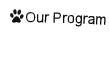 Our Program